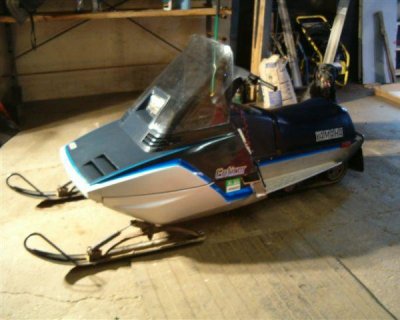 yamaha enticer 300